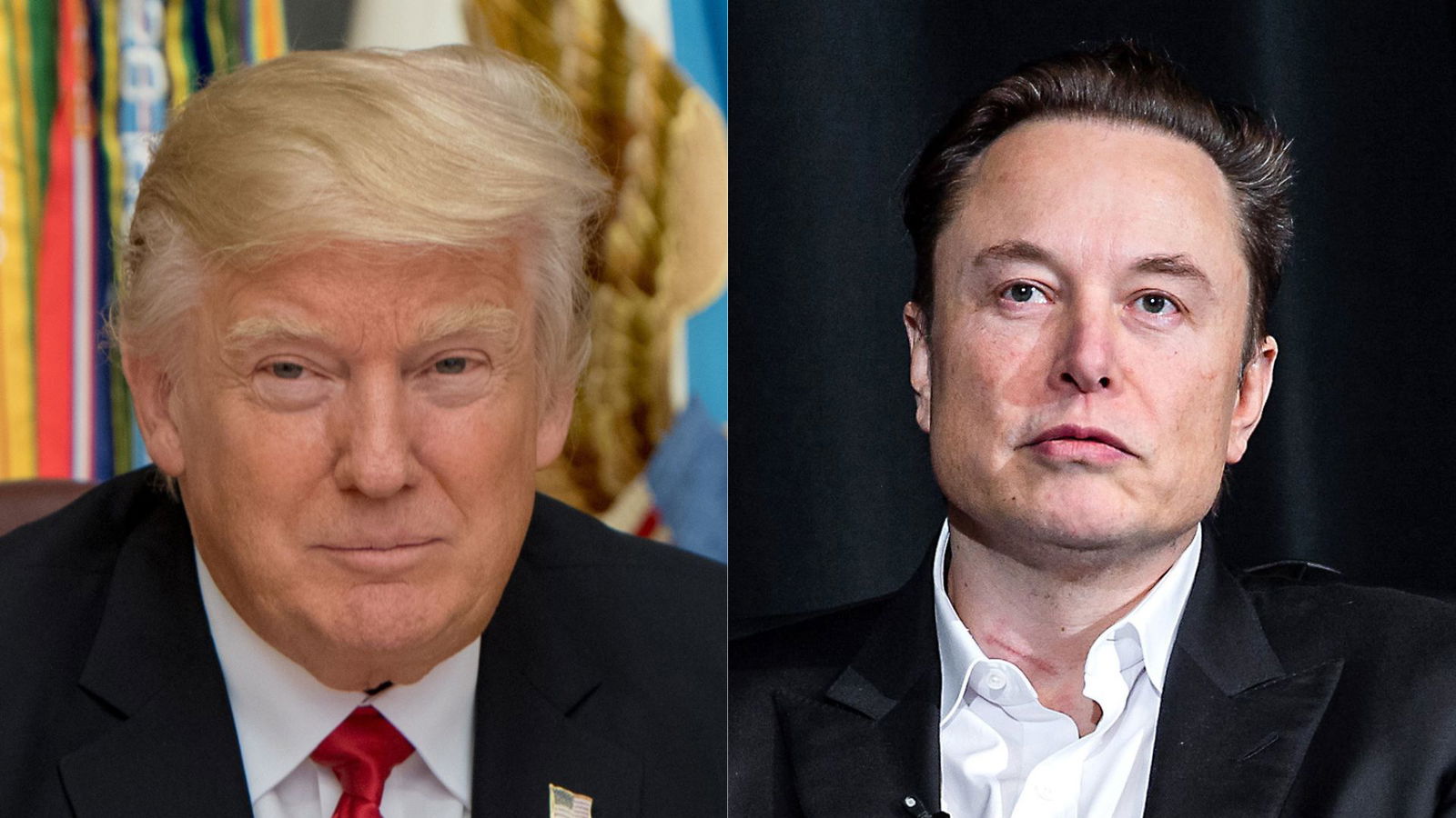 Donald Trump and Elon Musk